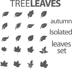 Tree Leaves Set