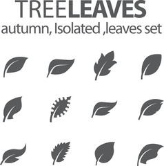 Tree Leaves Set