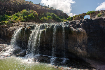 Naklejka premium sunny day