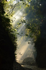 sun and smok © Lucaslope