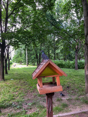 Bird feeder and pigeons in the park