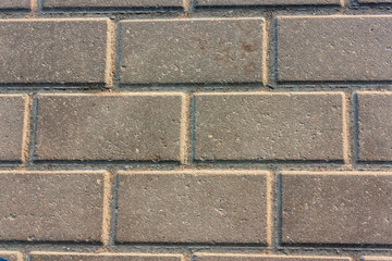 Obraz premium gray brown texture of paving slab