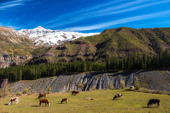 Caj&oacute;n del Maipo