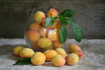 apricots in a round vase