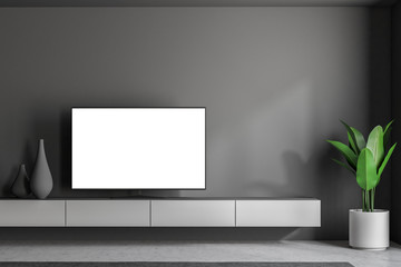 Mock up TV set screen gray living room