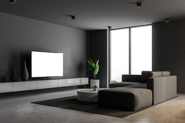 Gray living room interior with a TV set