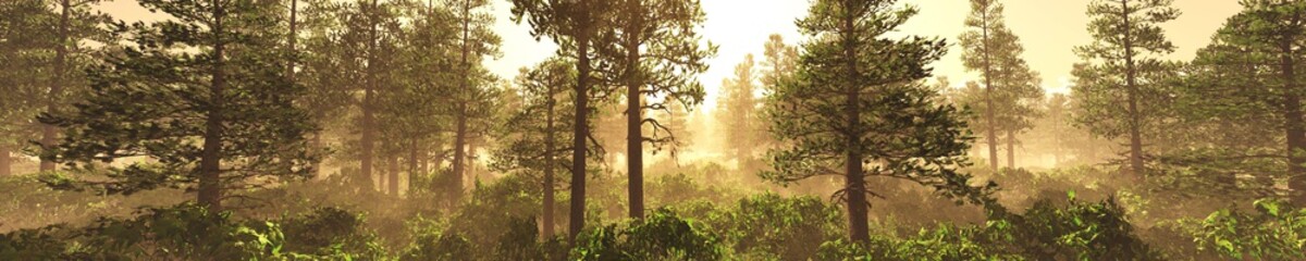 Panorama of a forest in the fog at sunset. Trees in the fog. Light above the left. 3D rendering 