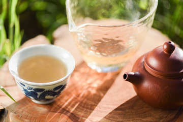 Healthy beverage. Green tea in Chinese clay teapot and cups on wood slab in morning light