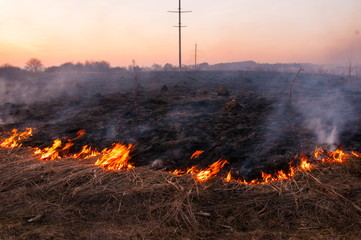 On a hot summer day, dry grass is burning on the field. Burning field with dry grass.