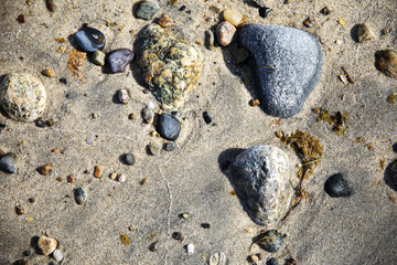 Shells and rocks on shore or beach