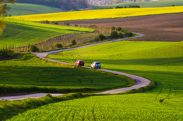 Rural landscape with green fields, auto road and waves, South Moravia, Czech Republic