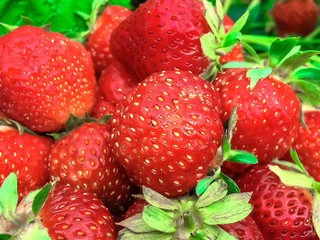 Cup of strawberries on wooden background