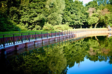 Fototapeta premium beautiful pond