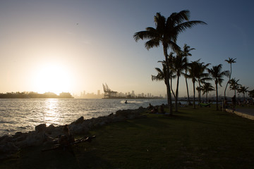 Obraz na płótnie Canvas citiscape with palm trees and port of Miami