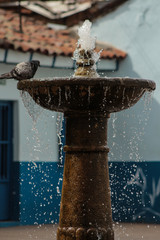 agua