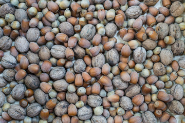 Texture mixture of hazelnut and walnut nuts