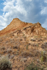 wildflowers on high coast by the sea, beautiful coastal landscape, travel concept