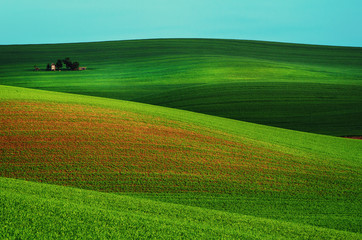 Obraz premium Rural landscape with green field, blue sky and wooden hunting shack , South Moravia, Czech Republic