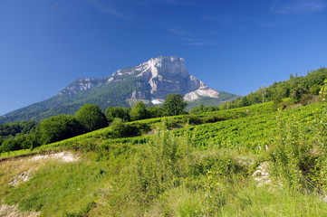 campagne de savoie