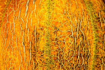 Melon background. Cook at home