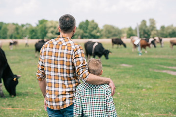 back view of father and son standing together and looking at cows grazing on farm