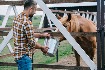middle aged farmer holding bucket and feeding horse in stable