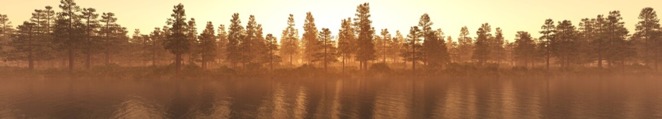 Obraz premium Panorama of a forest in the fog at sunset. Trees in the fog. Light above the left. 3D rendering 