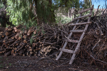 Hand made ladder