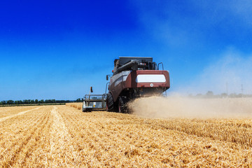 Fototapeta na wymiar Harvester machine to harvest wheat field working. Combine harvester agriculture machine harvesting golden ripe wheat field. Agriculture