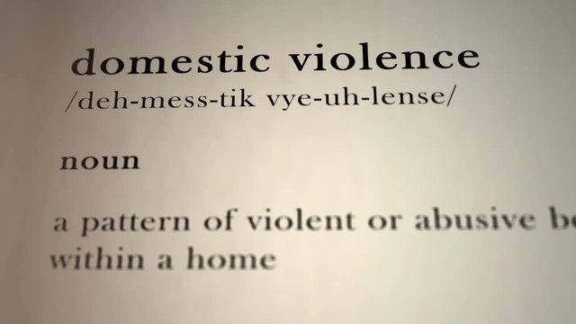 Domestic Violence Definition