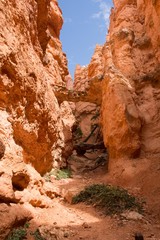 Bryce Canyon