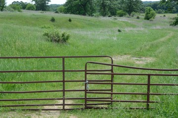 Fototapeta premium Locked rusty gate