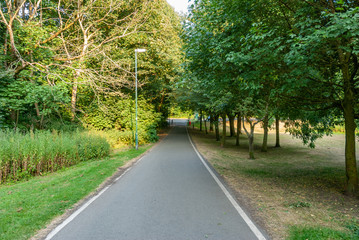 Obraz premium English Country Road