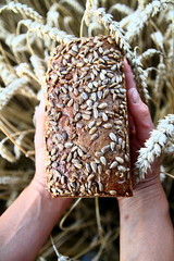  bread with wheat background