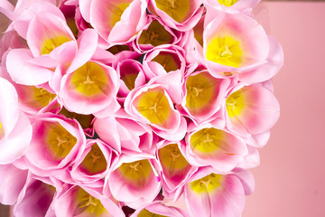 Pink tulips on thebright colorful background. Flat lay, top view. Valentines background. Horizontal, copy space for text