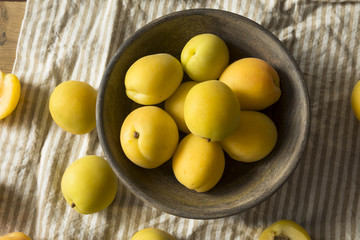 Raw Yellow Organic Angelcot Apricots