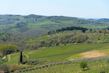 Panoramic view of countryside and vineyards in the Chianti region, Tuscany, Italy.