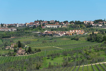 Fototapeta na wymiar Panoramic beautiful view of residential areas Radda in Chianti province of Siena, Tuscany, Italy.