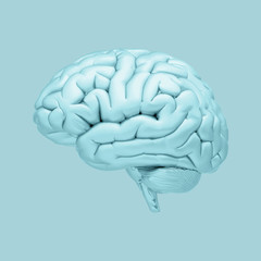 Human brain illustration isolated on blue BG