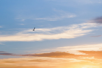 Beautiful summer sunset with clouds over the sea