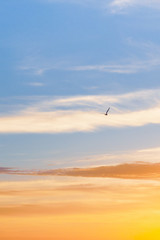 Beautiful summer sunset with clouds over the sea