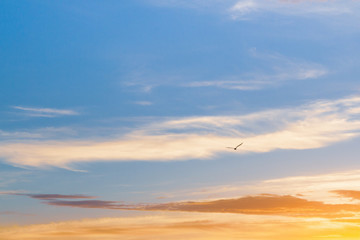 Beautiful summer sunset with clouds over the sea
