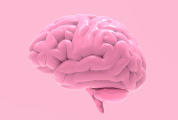 Pink human brain illustration isolated on pastel BG
