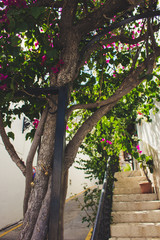 Street. A small street in the city of Mijas. Costa del Sol, Andalusia, Spain.