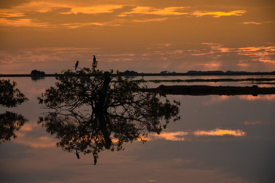 Lake with herons, center gaitan, casanare