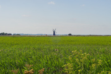 Green Grass Field with Windmill on Horizon