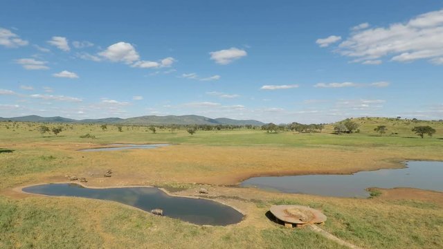green savanna landscape with water hole in kenya