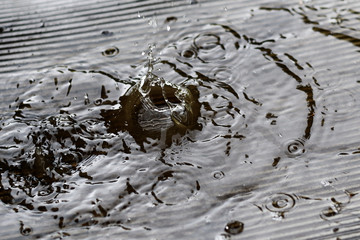 close-up of the movement of raindrops at the time of the fall with frozen spikes