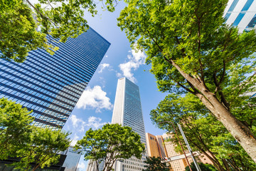 新緑と高層ビル群