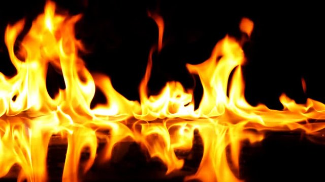 Fire Flames Igniting And Burning - Slow Motion. A line of real flames ignite on a black background. Real fire. Transparent background. PNG + Alpha
